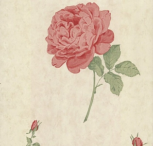 Paper Partnership Elizabeth Ockford Birchgrove Gardens EO00141 для спальни для гостиной для загородного дома для комнаты бежевый