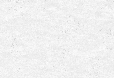 Обои виниловые на флизелиновой основе