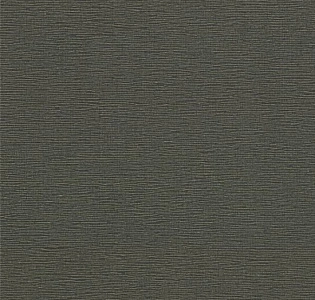 Артекс Dieter Langer Fusion 10442-10 для кухни для спальни для гостиной для коридора для кабинета для загородного дома для комнаты для прихожей темно-серый золотой