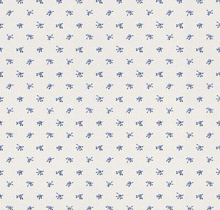 Rasch Textil Petite Fleur 4 288734 для спальни для гостиной для загородного дома для комнаты белый голубой