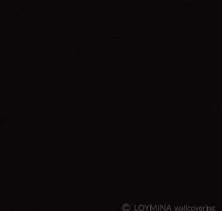 Loymina Lac Deco Lac2 010 для спальни для гостиной для кабинета для загородного дома для комнаты для прихожей черный