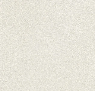 Andrea Rossi Spectrum Plus 54351-16 для кухни для коридора для кабинета для загородного дома для комнаты для прихожей белый светло-серый