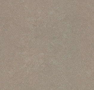 Rasch Metal Spirit 977141 для кухни для спальни для гостиной для коридора для кабинета для загородного дома для комнаты для прихожей капучино