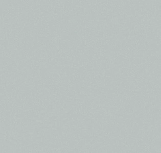 Aura Nordic Elegance 630214 для спальни для гостиной для кабинета для загородного дома для комнаты для прихожей серый светло-серый
