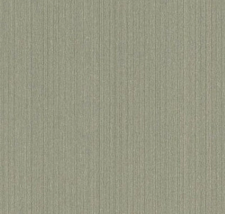 Rasch Textil Letizia 087023 для спальни для гостиной для кабинета для загородного дома для комнаты для прихожей зеленый оливковый