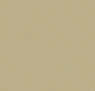 CoDe  Co.De 01 шёлк на флизелине P1908 RX для спальни для гостиной для кабинета для загородного дома для комнаты для прихожей оливковый