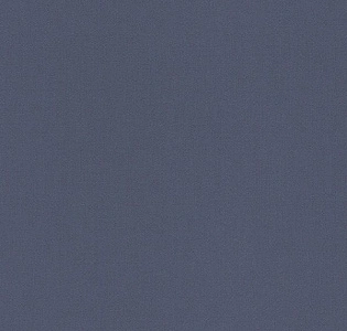 Rasch Maximum XVI 960723 для кухни для спальни для гостиной для коридора для кабинета для загородного дома для комнаты для прихожей синий