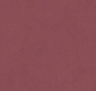 Aura Natural FX G67474 бордовый