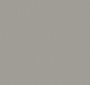 CoDe Co.De 01 бесшовный шёлк на флизелине P1909 RW для спальни для гостиной для кабинета для загородного дома для комнаты для прихожей серый светло-серый