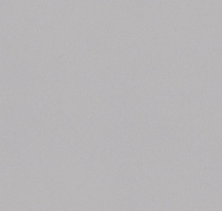Cassanie Simply SP004 для кухни для спальни для гостиной для коридора для кабинета для загородного дома для комнаты для прихожей серый светло-серый