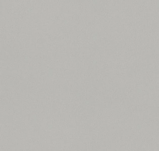 Cassanie Simply SP007 для кухни для спальни для гостиной для коридора для кабинета для загородного дома для комнаты для прихожей серый светло-серый