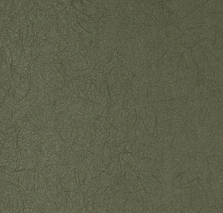 Bernardo Bartalucci Legend 5068-48 для спальни для гостиной для кабинета для загородного дома для комнаты для прихожей зеленый