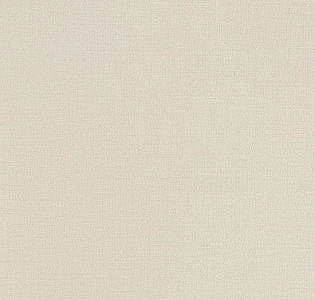 Andrea Rossi Spectrum Plus 54353-23 для кухни для спальни для гостиной для коридора для кабинета для загородного дома для комнаты для прихожей белый светло-серый