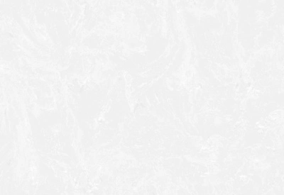 Обои виниловые на флизелиновой основе