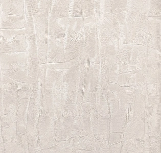 Cassanie Sylvia 189233 для кухни для спальни для гостиной для коридора для кабинета для загородного дома для комнаты для прихожей бежевый кремовый