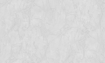 Обои виниловые на флизелиновой основе