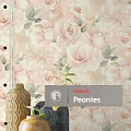 Peonies