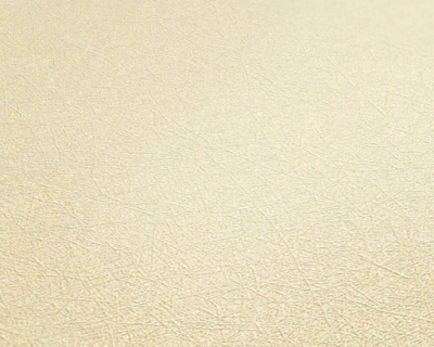 Обои виниловые на флизелиновой основе