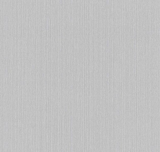 BN International Finesse 17728 для кухни для спальни для гостиной для коридора для кабинета для загородного дома для комнаты для прихожей серый светло-серый