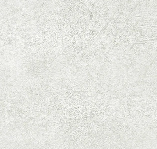 Emiliana Parati Valentin Yudashkin №3 83064 для кухни для коридора для кабинета для загородного дома для комнаты для прихожей светло-серый