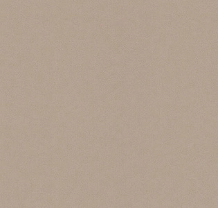 BN International Tailor 2 4249361 для кухни для спальни для гостиной для коридора для кабинета для загородного дома для комнаты для прихожей коричневый