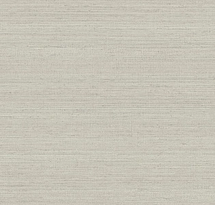 Jannelli&Volpi 602 Jaipur 6849 для кухни для спальни для гостиной для коридора для кабинета для загородного дома для комнаты для прихожей серый светло-серый