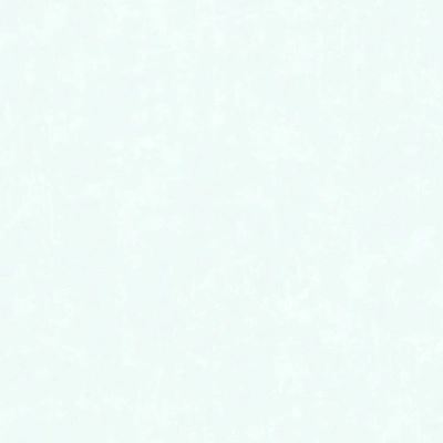 Обои виниловые на флизелиновой основе