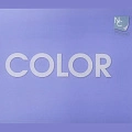 AntiVandal NC Color