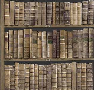 Paper Partnership University of Oxford Archives II IWB00844 для кабинета для загородного дома для комнаты коричневый