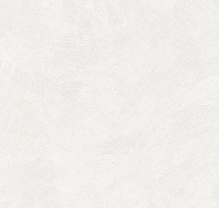 A.S. Creation Sylvana 8921-40 для кухни для спальни для гостиной для коридора для кабинета для загородного дома для комнаты для прихожей белый