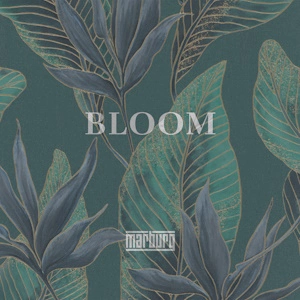 Marburg Коллекции