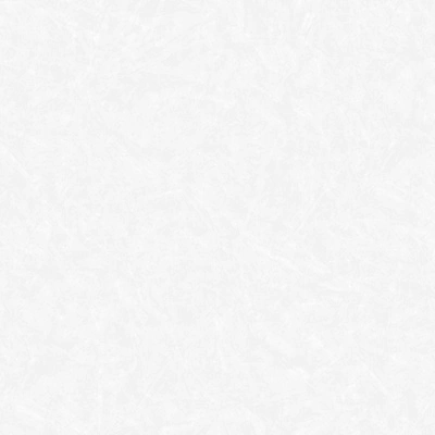 Обои виниловые на флизелиновой основе