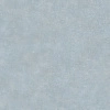 25667