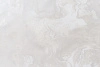 AR10806-01