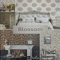 Blossom Blossom