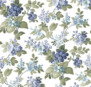 5036 Parato Mirtilla 5036 для кухни для спальни для гостиной для загородного дома для комнаты голубой