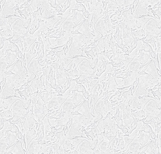 AK2717 Wiganford Milenium 2 AK2717 для кухни для коридора для кабинета для загородного дома для комнаты для прихожей белый светло-серый