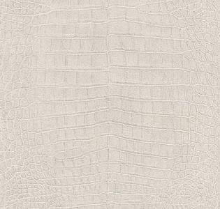 474152 Rasch Mandalay 474152 для спальни для загородного дома для комнаты бежевый