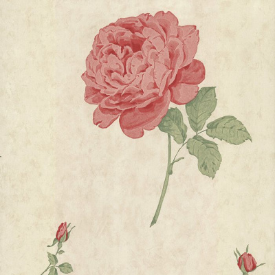 EO00141 обои бумажные на флизелиновой основе